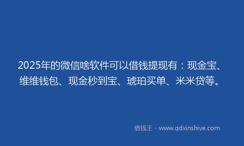 2025年的微信啥软件可以借钱提现有：现金宝、维维钱包、现金秒到宝、琥珀买单、米米贷等。