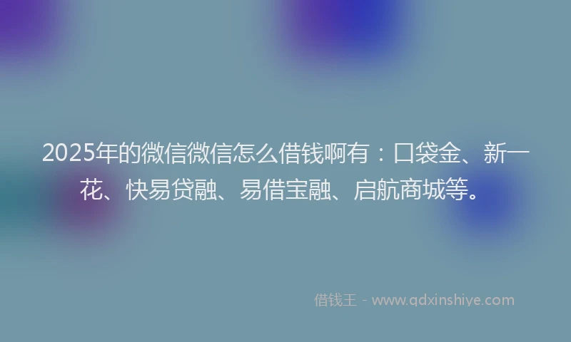 2025年的微信微信怎么借钱啊有：口袋金、新一花、快易贷融、易借宝融、启航商城等。