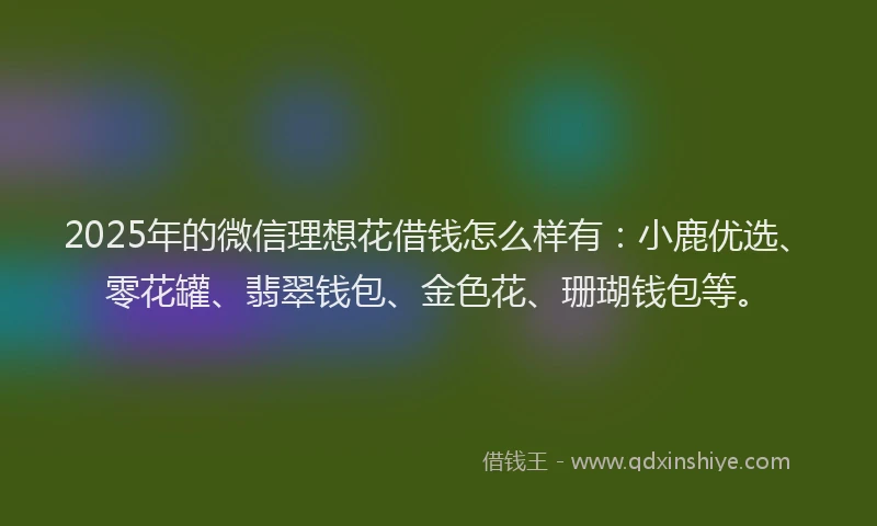 2025年的微信理想花借钱怎么样有：小鹿优选、零花罐、翡翠钱包、金色花、珊瑚钱包等。