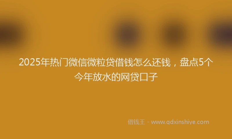 2025年热门微信微粒贷借钱怎么还钱，盘点5个今年放水的网贷口子