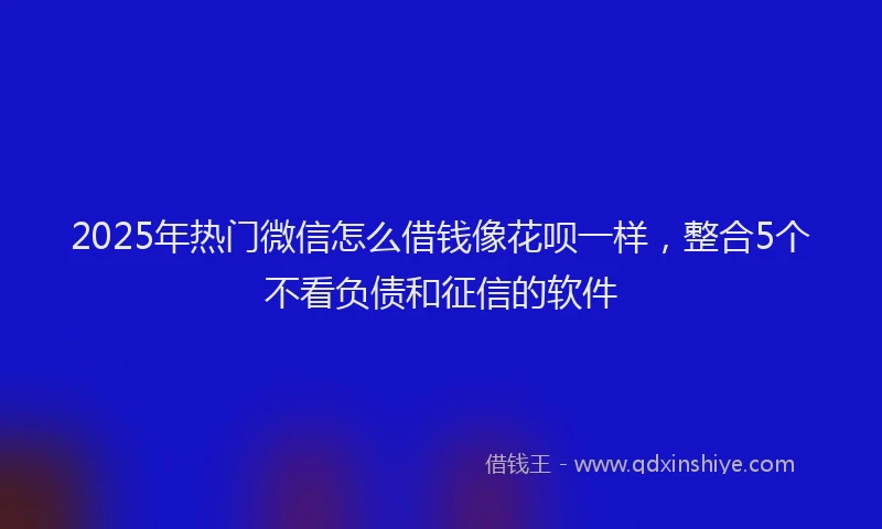 2025年热门微信怎么借钱像花呗一样，整合5个不看负债和征信的软件