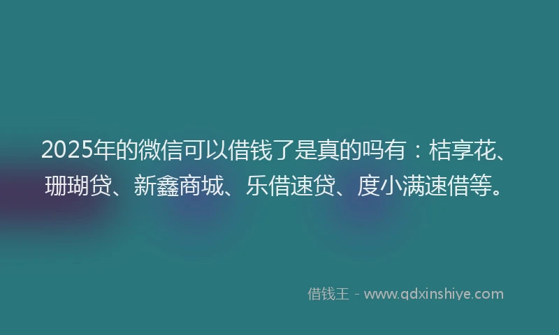 2025年的微信可以借钱了是真的吗有：桔享花、珊瑚贷、新鑫商城、乐借速贷、度小满速借等。