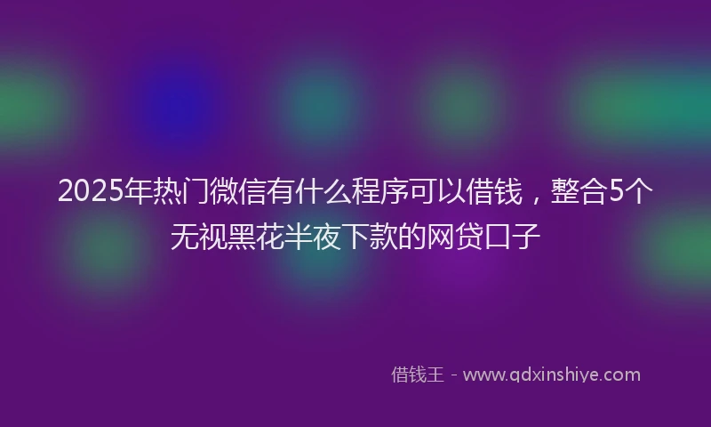 2025年热门微信有什么程序可以借钱，整合5个无视黑花半夜下款的网贷口子