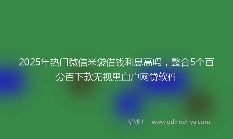 2025年热门微信米袋借钱利息高吗，整合5个百分百下款无视黑白户网贷软件