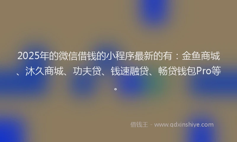 2025年的微信借钱的小程序最新的有：金鱼商城、沐久商城、功夫贷、钱速融贷、畅贷钱包Pro等。