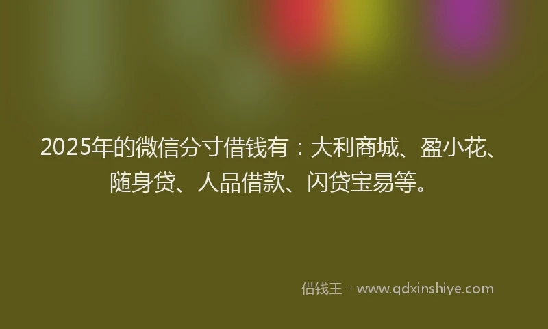 2025年的微信分寸借钱有：大利商城、盈小花、随身贷、人品借款、闪贷宝易等。