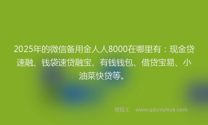 2025年的微信备用金人人8000在哪里有：现金贷速融、钱袋速贷融宝、有钱钱包、借贷宝易、小油菜快贷等。
