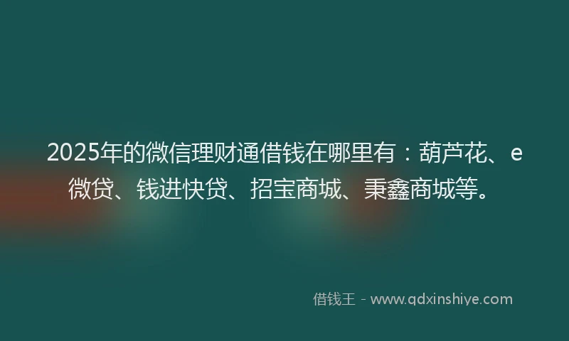 2025年的微信理财通借钱在哪里有：葫芦花、e微贷、钱进快贷、招宝商城、秉鑫商城等。
