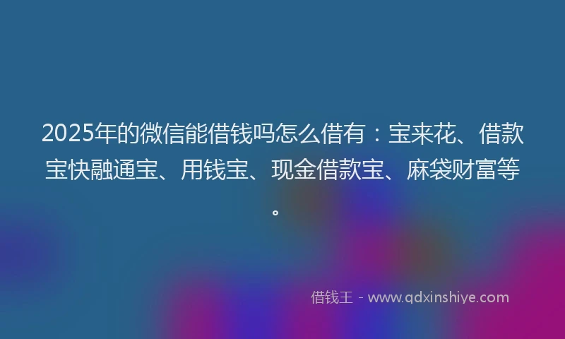 2025年的微信能借钱吗怎么借有：宝来花、借款宝快融通宝、用钱宝、现金借款宝、麻袋财富等。