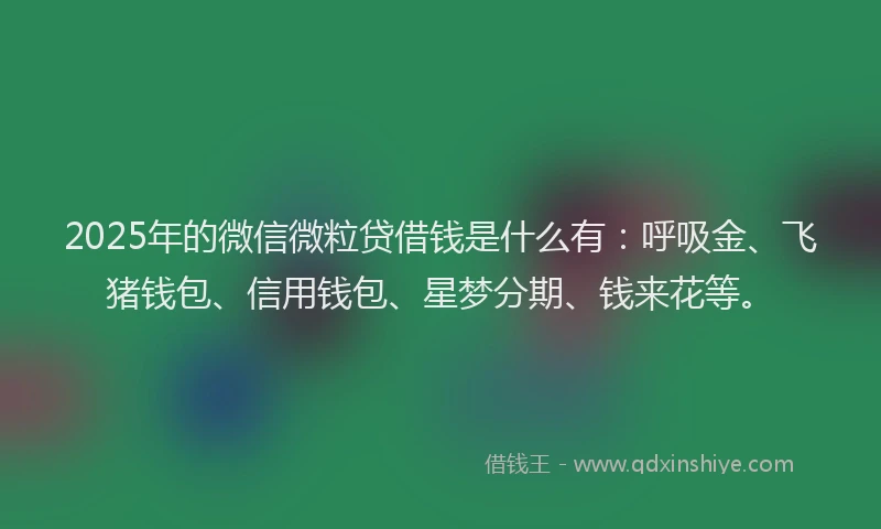 2025年的微信微粒贷借钱是什么有：呼吸金、飞猪钱包、信用钱包、星梦分期、钱来花等。