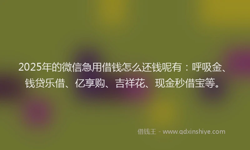 2025年的微信急用借钱怎么还钱呢有：呼吸金、钱贷乐借、亿享购、吉祥花、现金秒借宝等。