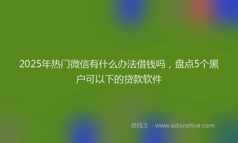 2025年热门微信有什么办法借钱吗，盘点5个黑户可以下的贷款软件