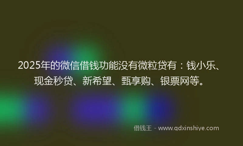 2025年的微信借钱功能没有微粒贷有：钱小乐、现金秒贷、新希望、甄享购、银票网等。