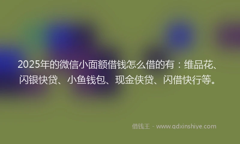 2025年的微信小面额借钱怎么借的有：维品花、闪银快贷、小鱼钱包、现金侠贷、闪借快行等。