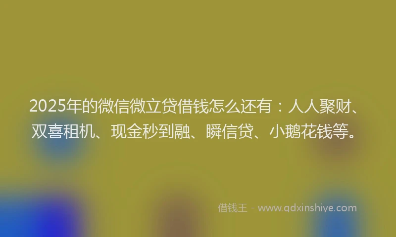 2025年的微信微立贷借钱怎么还有：人人聚财、双喜租机、现金秒到融、瞬信贷、小鹅花钱等。