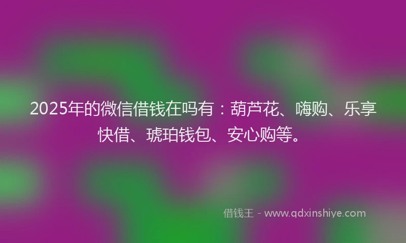 2025年的微信借钱在吗有：葫芦花、嗨购、乐享快借、琥珀钱包、安心购等。