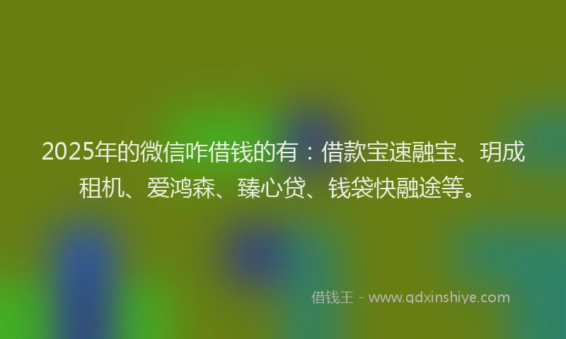 2025年的微信咋借钱的有：借款宝速融宝、玥成租机、爱鸿森、臻心贷、钱袋快融途等。