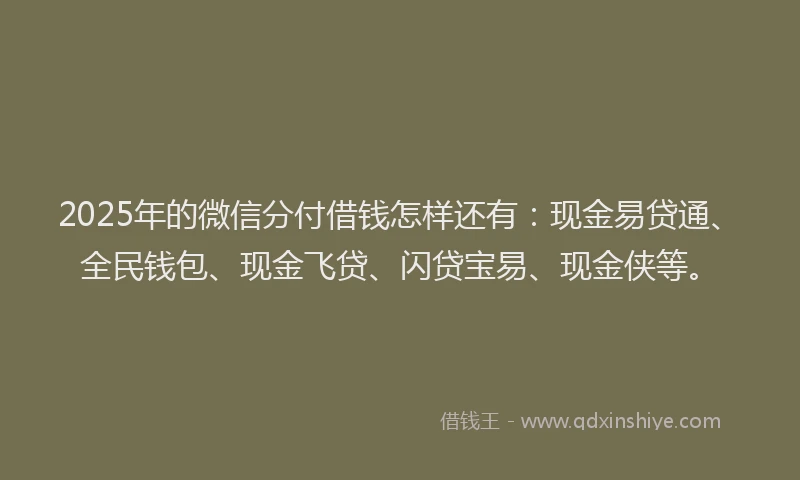 2025年的微信分付借钱怎样还有：现金易贷通、全民钱包、现金飞贷、闪贷宝易、现金侠等。