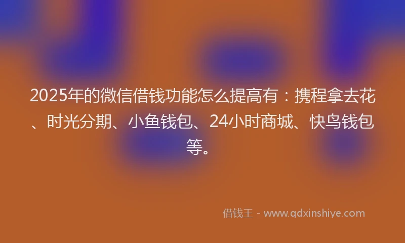 2025年的微信借钱功能怎么提高有：携程拿去花、时光分期、小鱼钱包、24小时商城、快鸟钱包等。