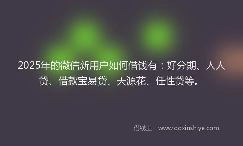 2025年的微信新用户如何借钱有：好分期、人人贷、借款宝易贷、天源花、任性贷等。