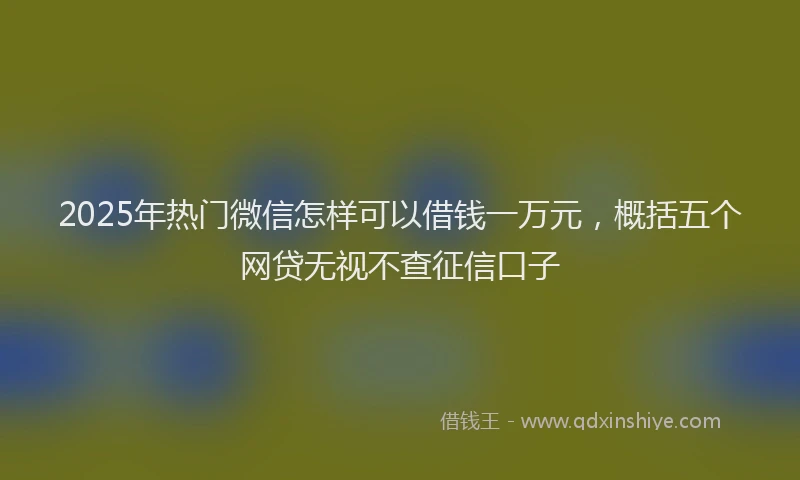 2025年热门微信怎样可以借钱一万元，概括五个网贷无视不查征信口子