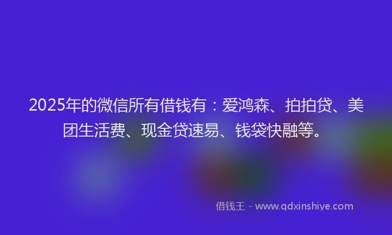 2025年的微信所有借钱有：爱鸿森、拍拍贷、美团生活费、现金贷速易、钱袋快融等。