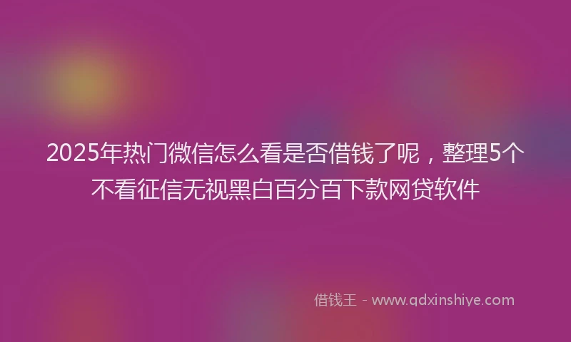 2025年热门微信怎么看是否借钱了呢，整理5个不看征信无视黑白百分百下款网贷软件