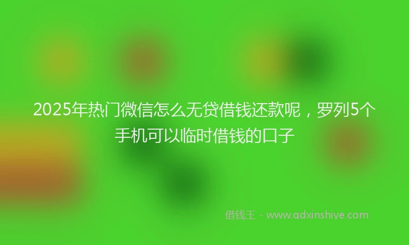 2025年热门微信怎么无贷借钱还款呢，罗列5个手机可以临时借钱的口子