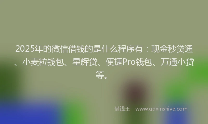 2025年的微信借钱的是什么程序有：现金秒贷通、小麦粒钱包、星辉贷、便捷Pro钱包、万通小贷等。