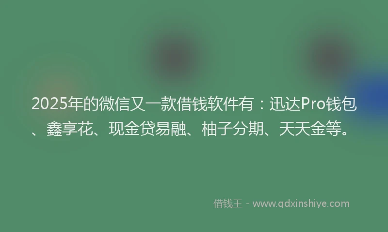 2025年的微信又一款借钱软件有：迅达Pro钱包、鑫享花、现金贷易融、柚子分期、天天金等。