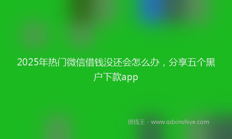 2025年热门微信借钱没还会怎么办，分享五个黑户下款app
