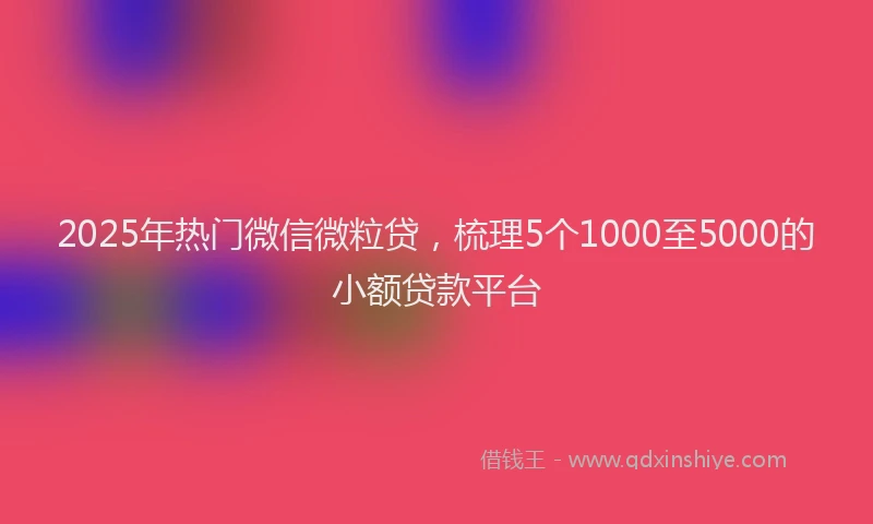 2025年热门微信微粒贷，梳理5个1000至5000的小额贷款平台