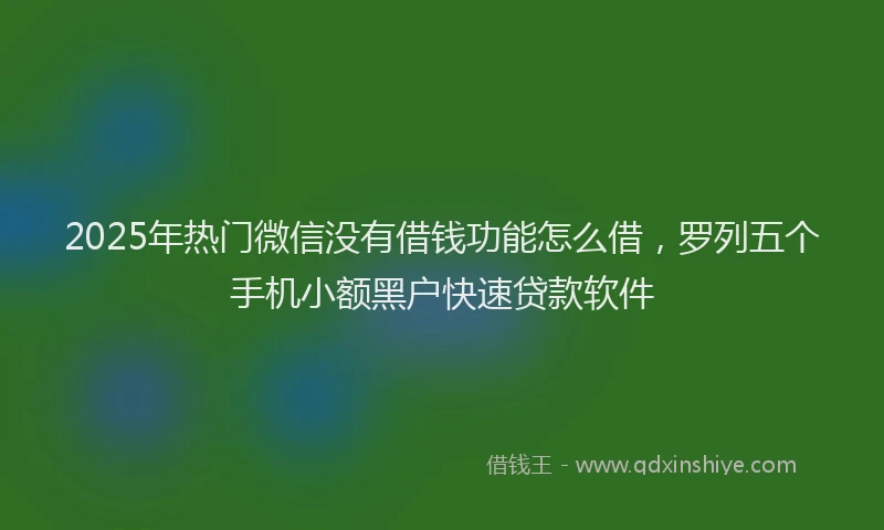 2025年热门微信没有借钱功能怎么借，罗列五个手机小额黑户快速贷款软件