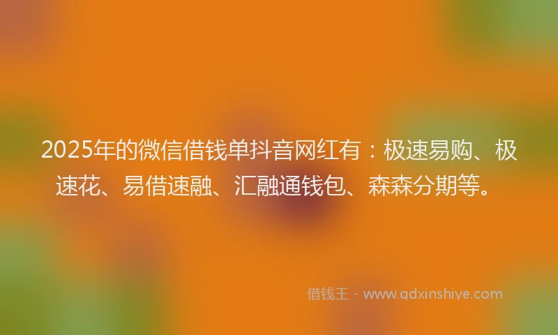 2025年的微信借钱单抖音网红有：极速易购、极速花、易借速融、汇融通钱包、森森分期等。