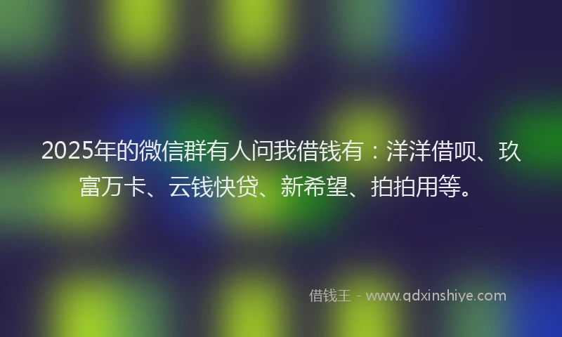 2025年的微信群有人问我借钱有：洋洋借呗、玖富万卡、云钱快贷、新希望、拍拍用等。