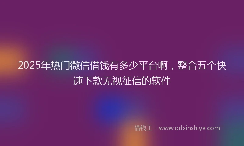 2025年热门微信借钱有多少平台啊，整合五个快速下款无视征信的软件