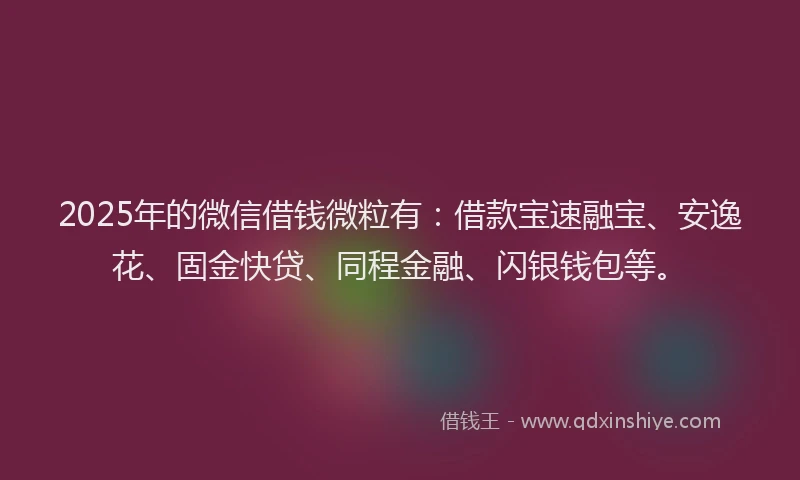 2025年的微信借钱微粒有：借款宝速融宝、安逸花、固金快贷、同程金融、闪银钱包等。