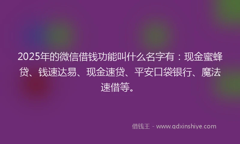 2025年的微信借钱功能叫什么名字有：现金蜜蜂贷、钱速达易、现金速贷、平安口袋银行、魔法速借等。