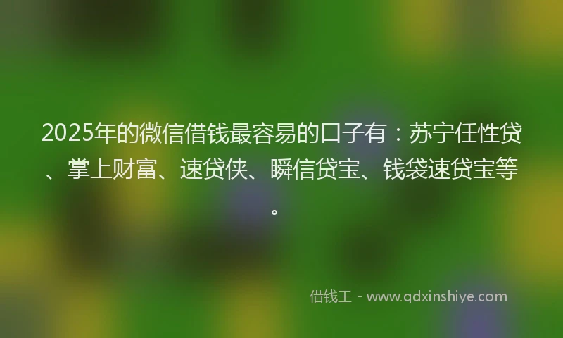 2025年的微信借钱最容易的口子有：苏宁任性贷、掌上财富、速贷侠、瞬信贷宝、钱袋速贷宝等。
