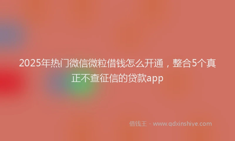 2025年热门微信微粒借钱怎么开通，整合5个真正不查征信的贷款app