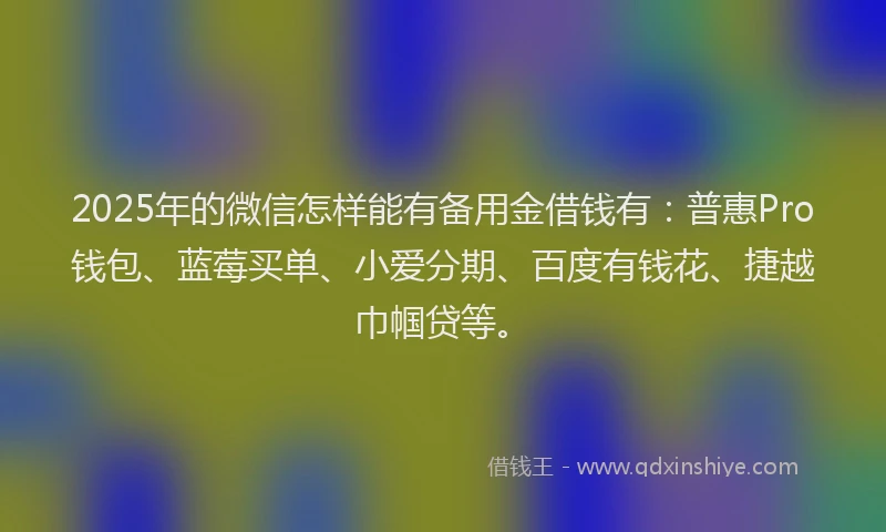 2025年的微信怎样能有备用金借钱有：普惠Pro钱包、蓝莓买单、小爱分期、百度有钱花、捷越巾帼贷等。