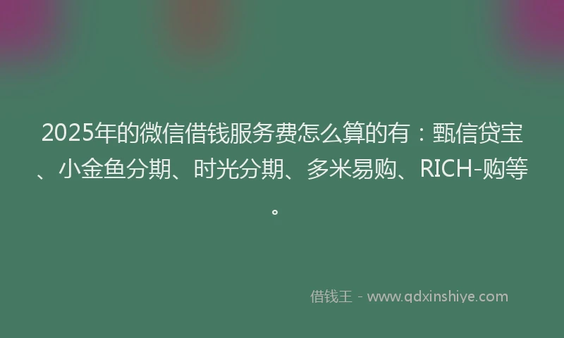 2025年的微信借钱服务费怎么算的有：甄信贷宝、小金鱼分期、时光分期、多米易购、RICH-购等。