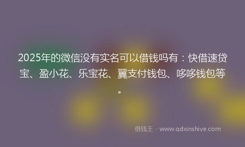 2025年的微信没有实名可以借钱吗有：快借速贷宝、盈小花、乐宝花、翼支付钱包、哆哆钱包等。