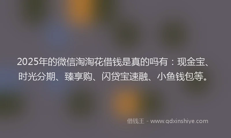 2025年的微信淘淘花借钱是真的吗有：现金宝、时光分期、臻享购、闪贷宝速融、小鱼钱包等。