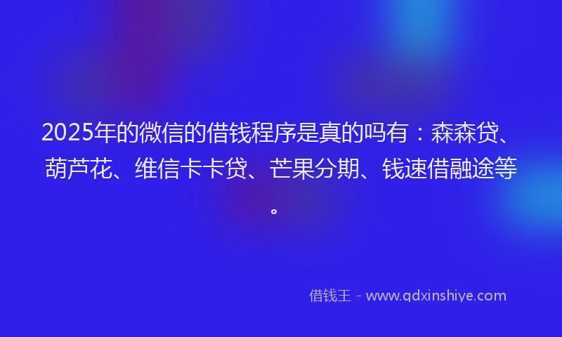 2025年的微信的借钱程序是真的吗有：森森贷、葫芦花、维信卡卡贷、芒果分期、钱速借融途等。