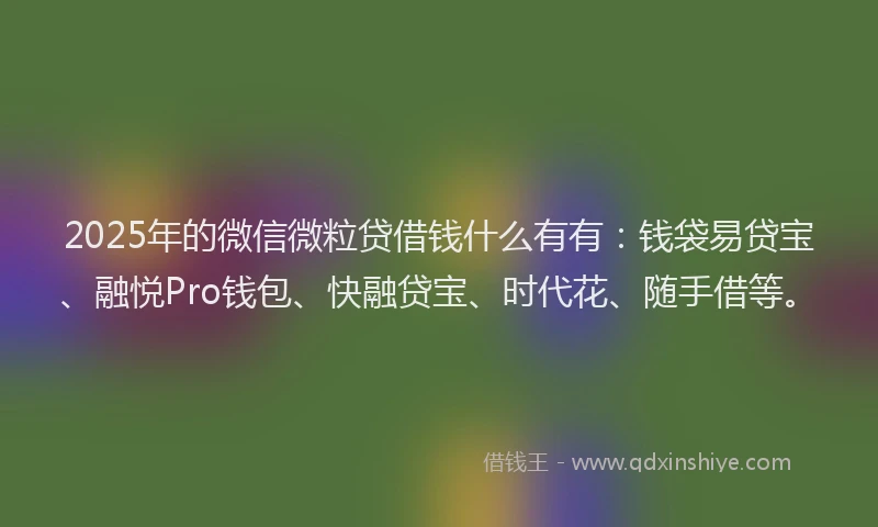 2025年的微信微粒贷借钱什么有有：钱袋易贷宝、融悦Pro钱包、快融贷宝、时代花、随手借等。