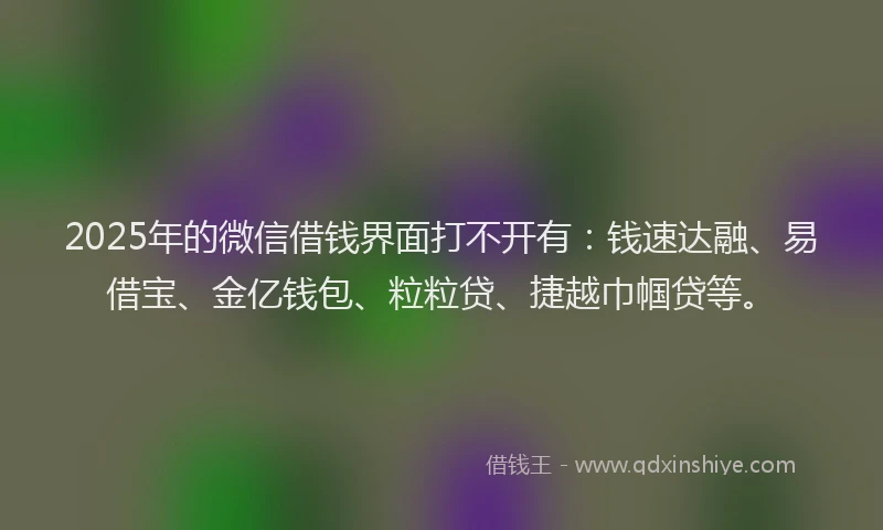 2025年的微信借钱界面打不开有：钱速达融、易借宝、金亿钱包、粒粒贷、捷越巾帼贷等。