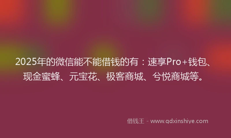 2025年的微信能不能借钱的有：速享Pro+钱包、现金蜜蜂、元宝花、极客商城、兮悦商城等。