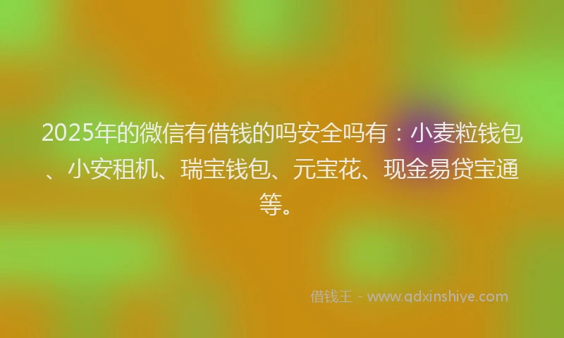 2025年的微信有借钱的吗安全吗有：小麦粒钱包、小安租机、瑞宝钱包、元宝花、现金易贷宝通等。