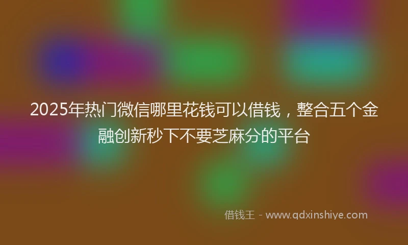 2025年热门微信哪里花钱可以借钱，整合五个金融创新秒下不要芝麻分的平台